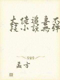 大佬追妻不择手段小说无弹窗最新章节封面