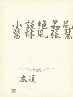 小说绝品风流狂医林风张慧电子书全集