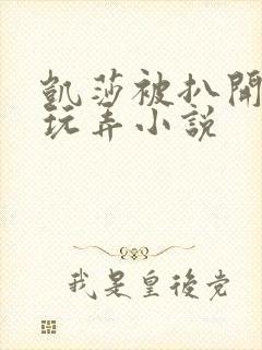 凯莎被扒开双腿玩弄小说封面