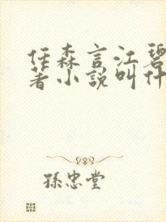 任森言江碧茵原著小说叫什么