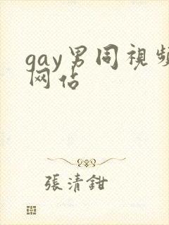 gay男同视频网站