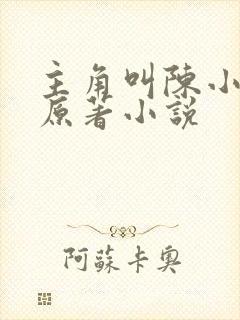 主角叫陈小贰的原著小说封面