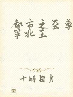 都市之至尊战神宁北王