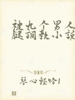 被九个男人扒开腿调教小说