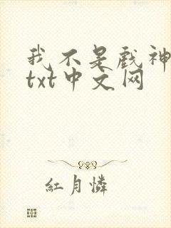 我不是戏神小说txt中文网