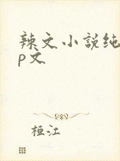 辣文小说纯肉np文