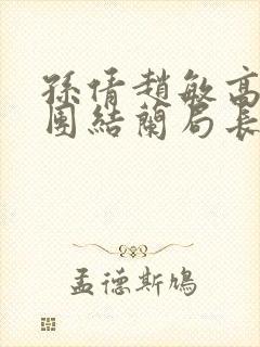 孙倩赵敏高义大团结兰局长