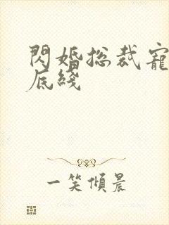 闪婚总裁宠妻无底线