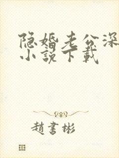 隐婚老公深夜来小说下载