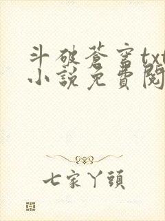 斗破苍穹txt小说免费阅读全文封面