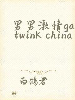 男男激情gay twink china封面