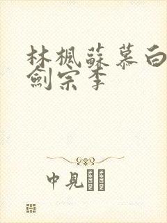 林枫苏慕白神霄剑宗李封面