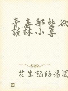 青春那些欲望小说林小喜
