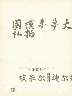 国模梦梦大尺度私拍封面