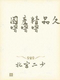 国产精品久久久噜噜噜