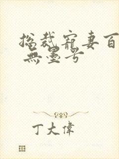 总裁宠妻百分百 无墨兮封面