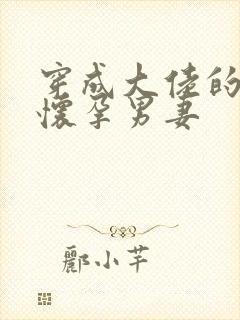 穿成大佬的炮灰怀孕男妻