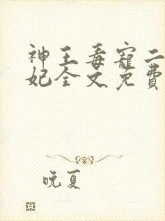 神王毒宠二嫁王妃全文免费