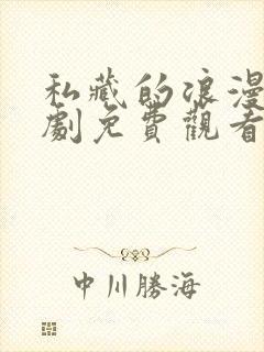 私藏的浪漫电视剧免费观看全集封面