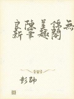 良陈美锦无删减新笔趣阁封面