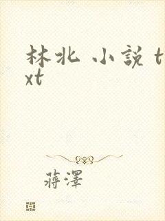 林北 小说 txt