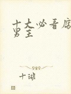 十大必看腐剧双男主