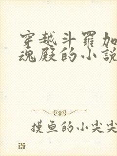 穿越斗罗加入武魂殿的小说