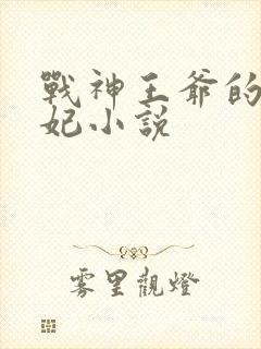 战神王爷的小医妃小说
