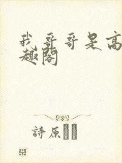我哥哥是高欢笔趣阁