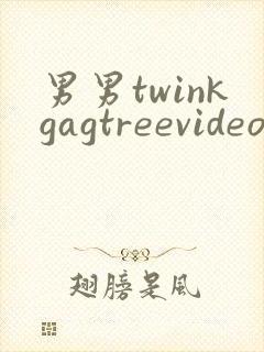 男男twinkgagtreevideo裸体
