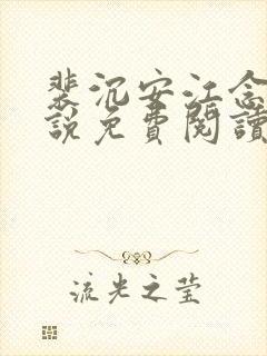 裴沉安江念意小说免费阅读最新章节