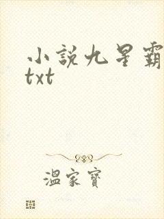 小说九星霸体诀txt