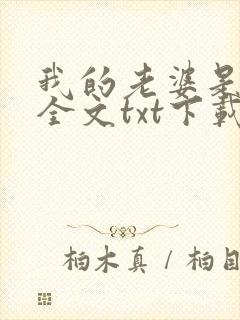 我的老婆是总裁全文txt下载