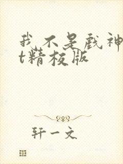 我不是戏神txt精校版封面