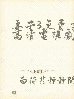 妻子3免费完整高清电视剧看封面