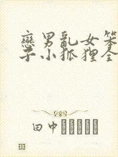 恋男乱女笨蛋英子小狐狸全文免费阅读笔趣阁封面