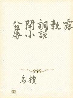 公开调教露出羞辱小说