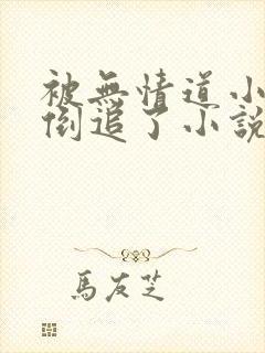 被无情道小师弟倒追了小说完整版