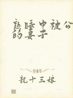 熟睡中被公侵犯的妻子封面