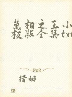 万相之王小说精校版全集txt