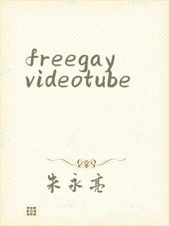freegayvideotube