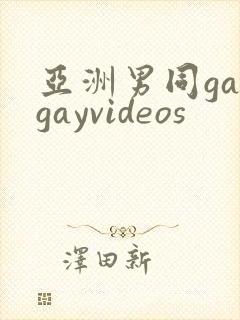 亚洲男同gaygayvideos