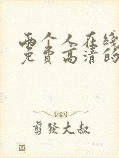 两个人在线观看免费高清的电视剧封面