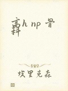高h np 骨科封面