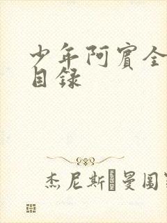 少年阿宾全章节目录