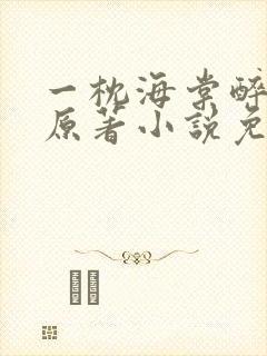 一枕海棠醉君怀原著小说免费阅读封面