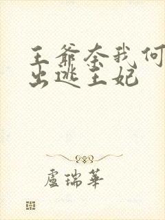 王爷奈我何通缉出逃王妃