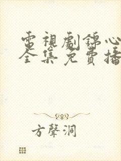 电视剧锦心似玉全集免费播放