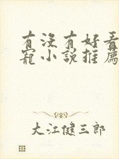 有没有好看的甜宠小说推荐封面