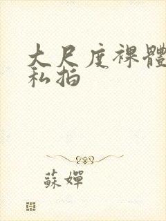 大尺度裸体国模私拍封面